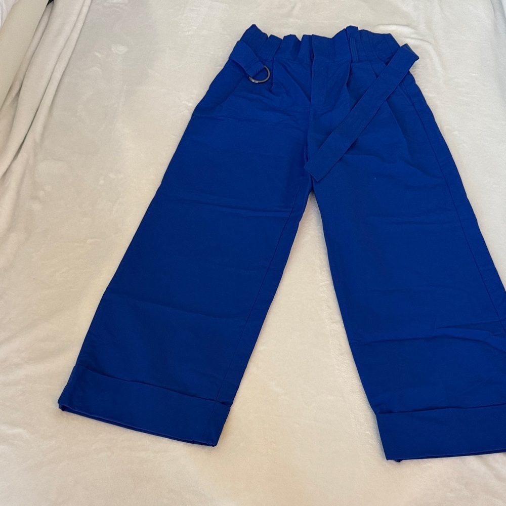 Banana Republic Royal Blue Casual Pants